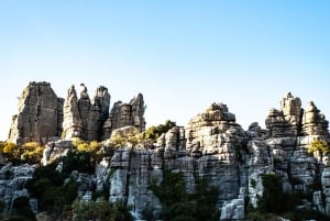 For Photographer Málaga: Photo Tour with Tesla X