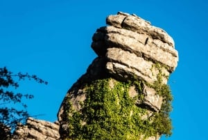 For Photographer Málaga: Photo Tour with Tesla X