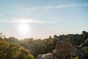 For Photographer Málaga: Photo Tour with Tesla X