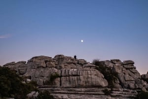 For Photographer Málaga: Photo Tour with Tesla X