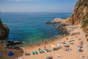 Vanuit Barcelona: het beste van Spanje in 10 dagen