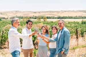 Vanuit Barcelona: het beste van Spanje in 10 dagen