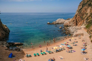 From Barcelona: The Best of Spain in 10 Days