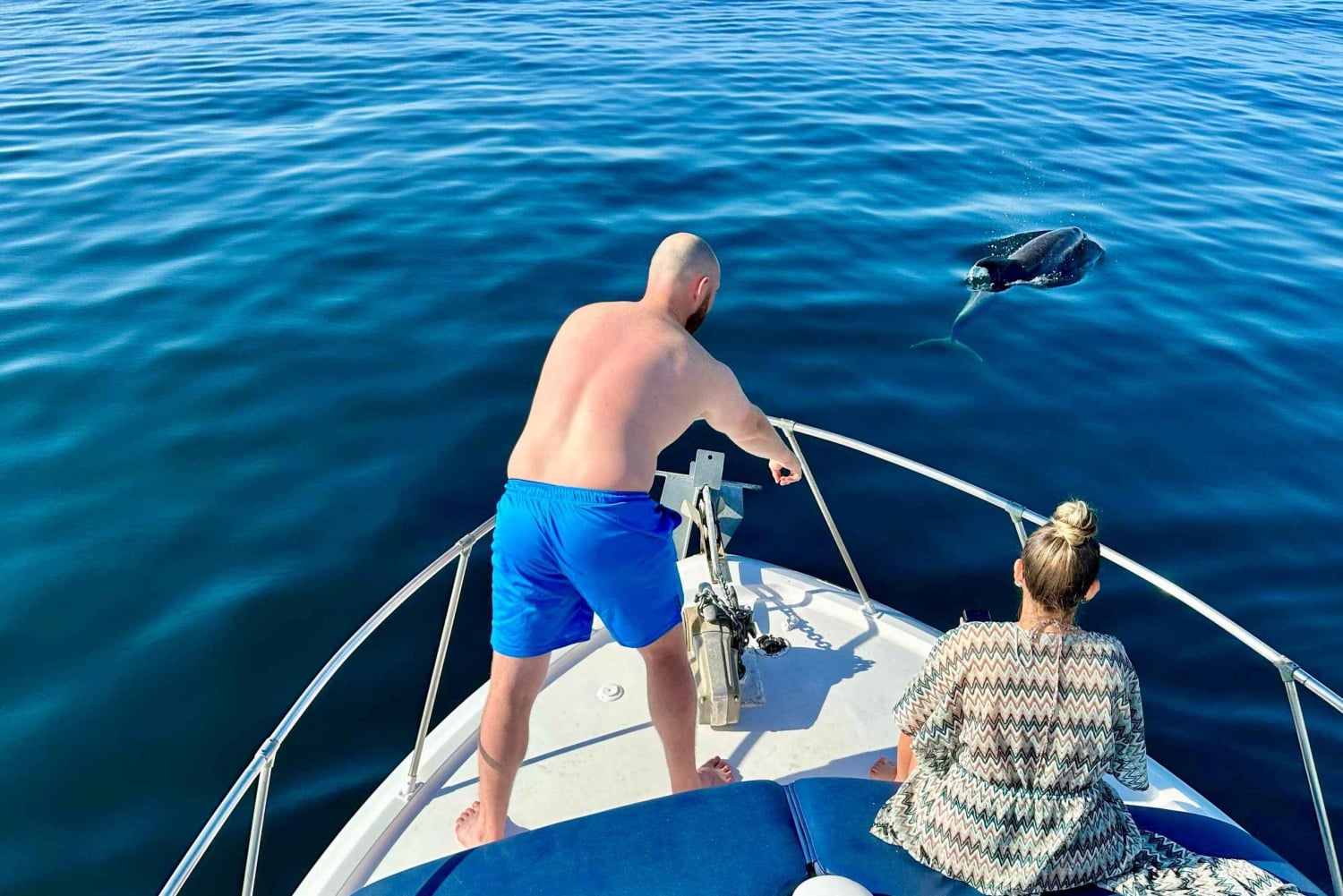 From Benalmádena & Torremolinos: Dolphin Watch Boat Trip