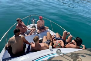 From Benalmádena & Torremolinos: Dolphin Watch Boat Trip