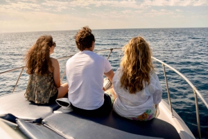 From Benalmádena & Torremolinos: Dolphin Watch Boat Trip