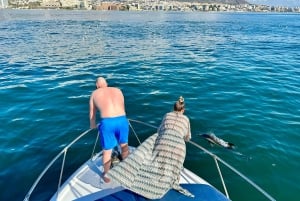 From Benalmádena & Torremolinos: Dolphin Watch Boat Trip