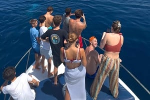From Benalmádena & Torremolinos: Dolphin Watch Boat Trip