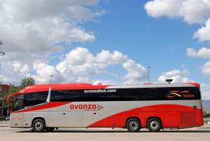 From Cádiz: 1-Way Bus Ticket to Málaga Airport or Vice Versa