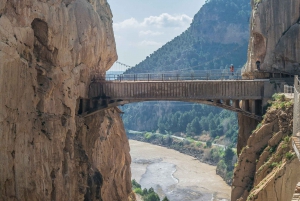 From Costa del Sol: Caminito del Rey Day Trip with Guide