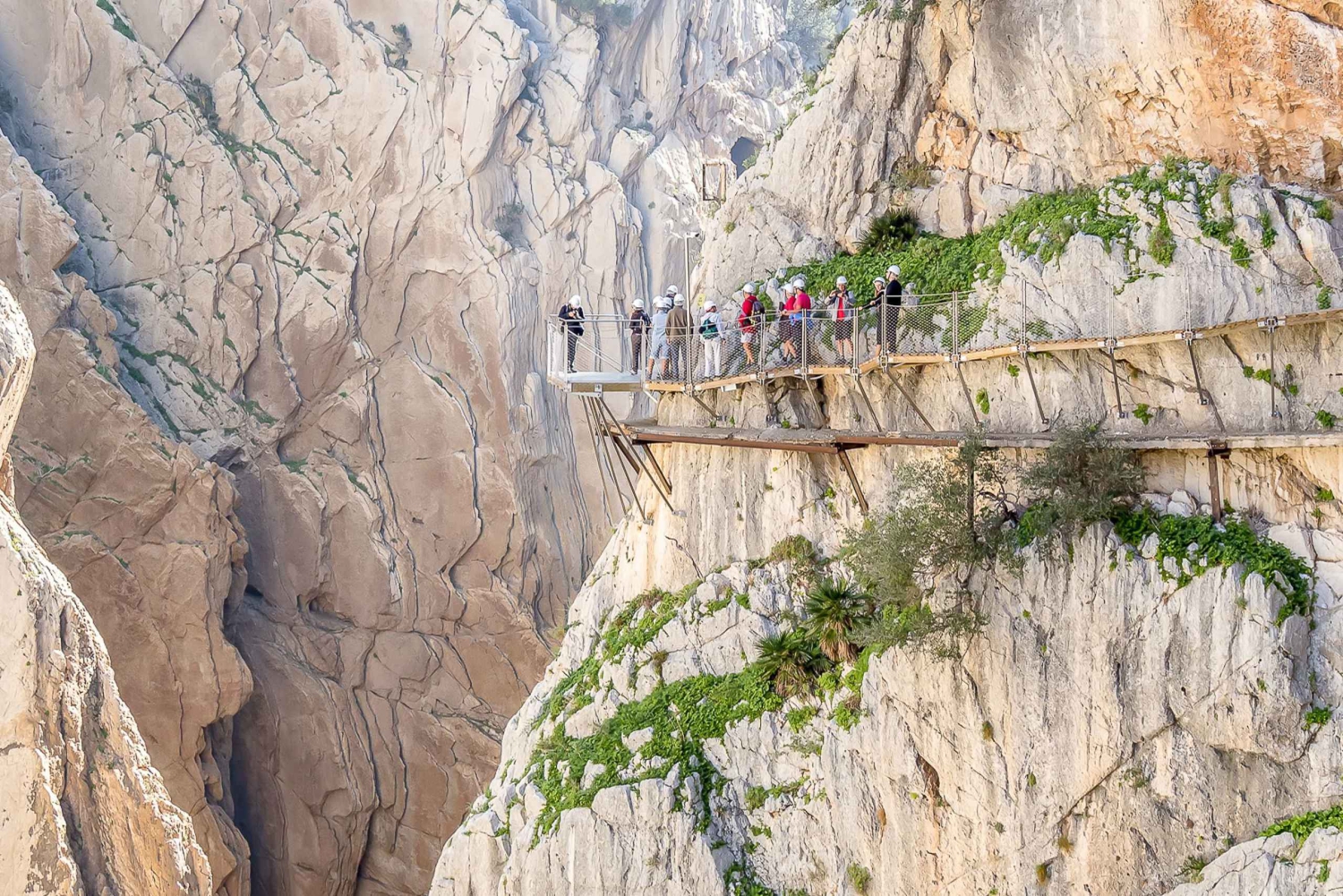 Van Costa del Sol: Dagtrip Caminito del Rey