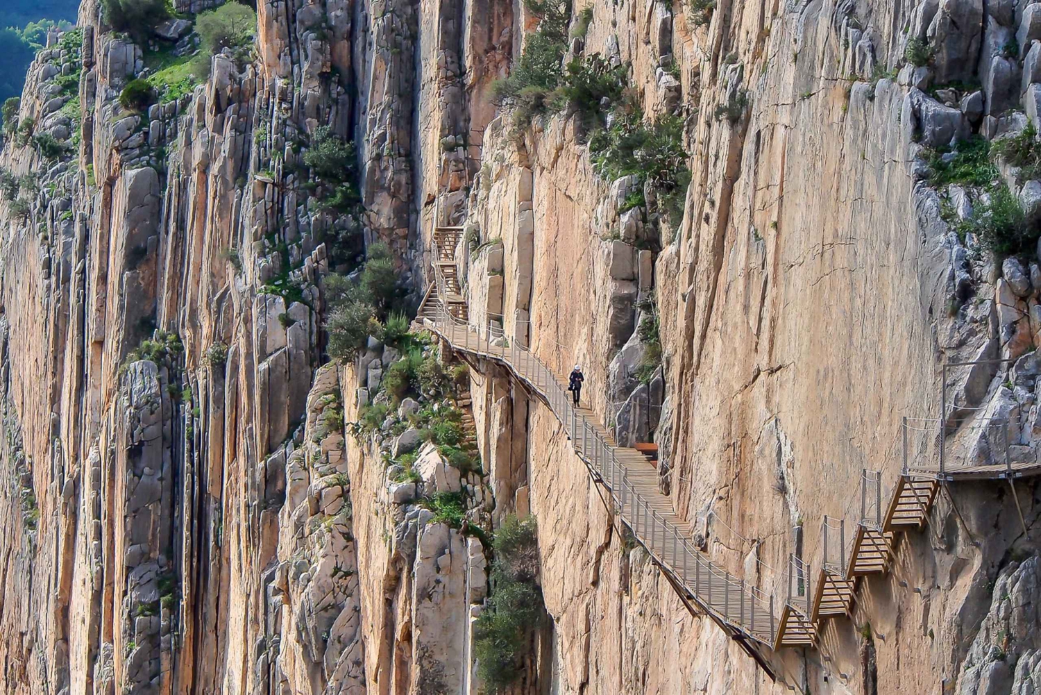 Van Costa del Sol: Dagtrip Caminito del Rey