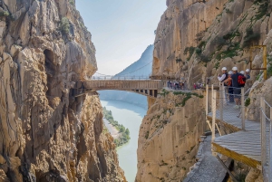 Van Costa del Sol: Dagtrip Caminito del Rey