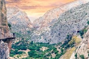 Van Costa del Sol: Dagtrip Caminito del Rey