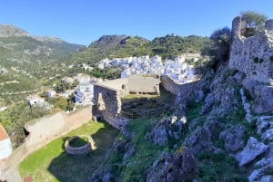 From Costa del Sol: Casares Private Tour