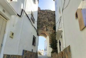 From Costa del Sol: Casares Private Tour