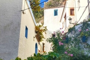 From Costa del Sol: Casares Private Tour