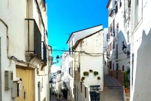 From Costa del Sol: Casares Private Tour