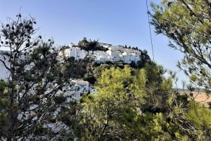 From Costa del Sol: Casares Private Tour