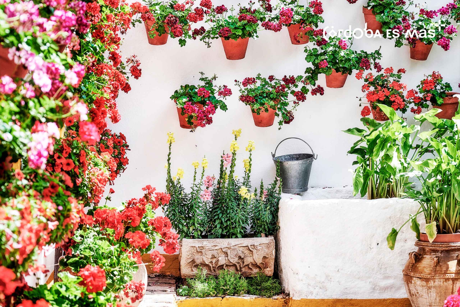 Da Costa do Sol: Viagem de 1 dia para Córdoba Tempo livre