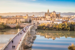 Da Costa do Sol: Viagem de 1 dia para Córdoba Tempo livre