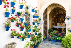 Da Costa do Sol: Viagem de 1 dia para Córdoba Tempo livre