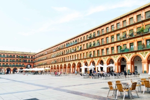 Da Costa do Sol: Viagem de 1 dia para Córdoba Tempo livre