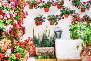 Da Costa do Sol: Viagem de 1 dia para Córdoba Tempo livre