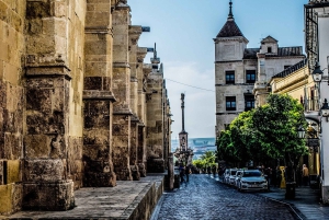 Da Costa do Sol: Viagem de 1 dia para Córdoba Tempo livre