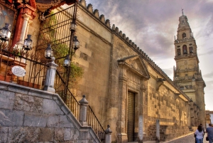 Da Costa do Sol: Viagem de 1 dia para Córdoba Tempo livre