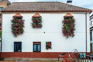 Da Costa do Sol: Viagem de 1 dia para Córdoba Tempo livre