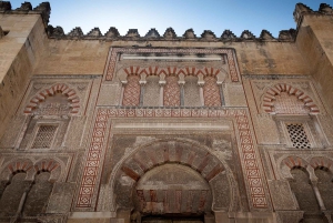 Da Costa do Sol: Viagem de 1 dia para Córdoba Tempo livre