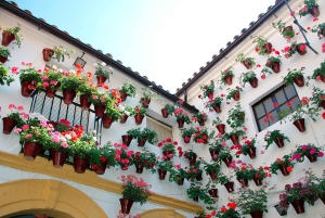 Da Costa do Sol: Viagem de 1 dia para Córdoba Tempo livre