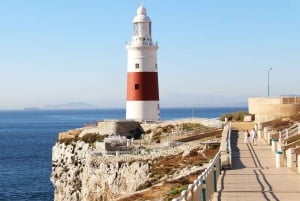 Fra Costa del Sol: Dagsudflugt til Gibraltar med guidet tur