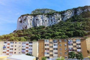 Vanaf de Costa del Sol: dagtocht naar Gibraltar met gids