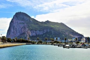 Da Costa del Sol: Viagem 1 Dia a Gibraltar com Tour Guiado