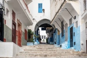 From Costa del Sol: Discover Tangier on a Guided Day Trip