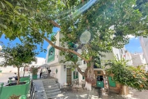 From Costa del Sol: Discover Tangier on a Guided Day Trip