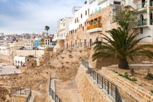 From Costa del Sol: Discover Tangier on a Guided Day Trip