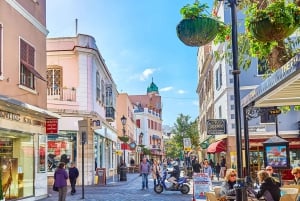 From Costa del Sol: Gibraltar Day Trip with Free Time