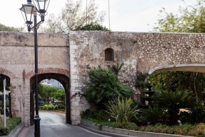 From Costa del Sol: Gibraltar Day Trip with Free Time