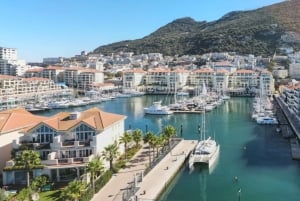 From Costa del Sol: Gibraltar Day Trip with Free Time