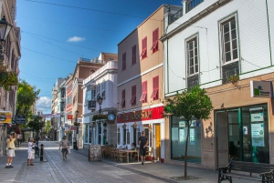 From Costa del Sol: Gibraltar Day Trip with Free Time