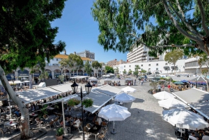 From Costa del Sol: Gibraltar Day Trip with Free Time