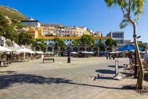 Costa del Solilta: Gibraltarin päiväretki ja vapaa-aikaa