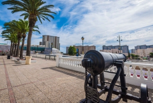 From Costa del Sol: Gibraltar Dolphin Watching by Boat