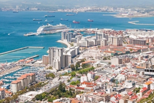 From Costa del Sol: Gibraltar Dolphin Watching by Boat