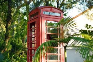 From Costa del Sol: Gibraltar Dolphin Watching by Boat