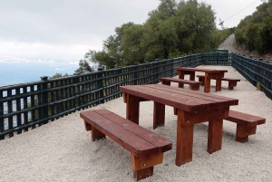 From Costa del Sol: Gibraltar Dolphin Watching by Boat