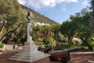 From Costa del Sol: Gibraltar Dolphin Watching by Boat